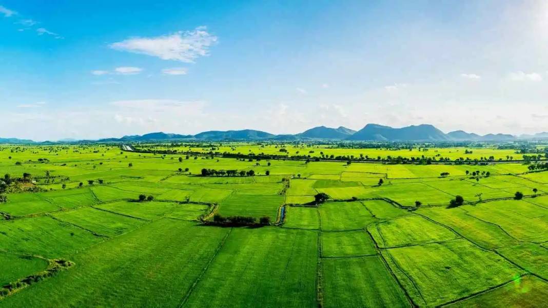 Antalya’da Hazine Arazileri Satışa Çıkarıldı 6